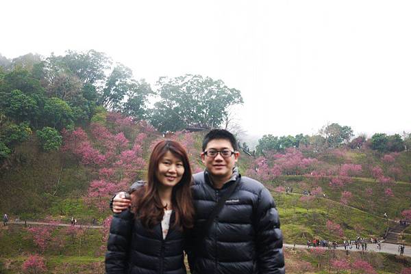 P1330333.JPG P1330333.JPG