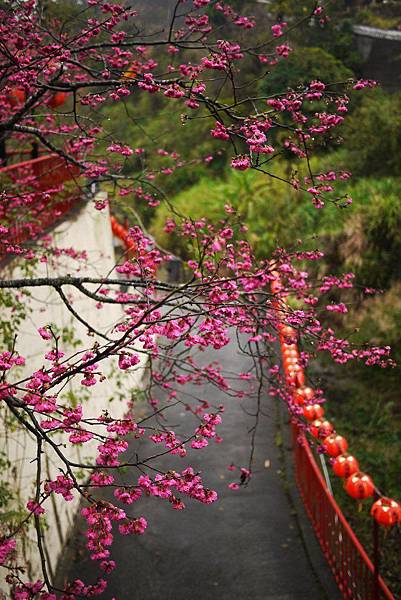 P1330335.JPG P1330335.JPG