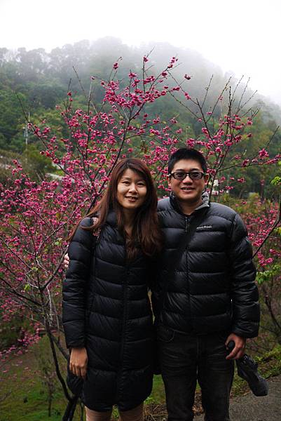 P1330345.JPG P1330345.JPG