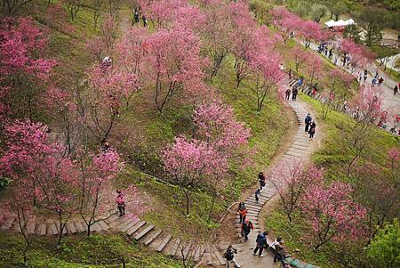 P1330366.JPG P1330366.JPG