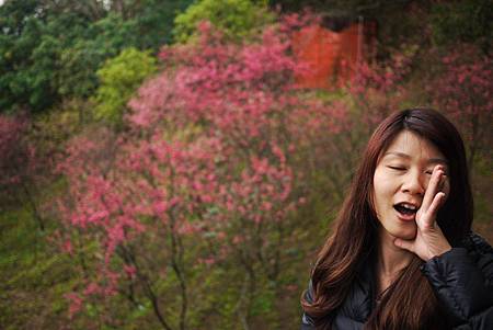 P1330370.JPG P1330370.JPG