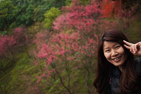 P1330371.JPG P1330371.JPG