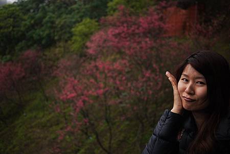 P1330372.JPG P1330372.JPG