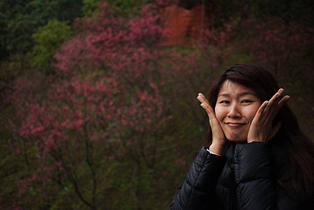 P1330373.JPG P1330373.JPG