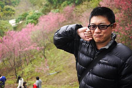 P1330374.JPG P1330374.JPG