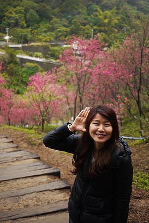 P1330376.JPG P1330376.JPG