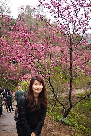 P1330383.JPG P1330383.JPG