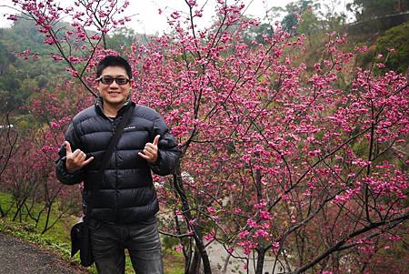 P1330387.JPG P1330387.JPG