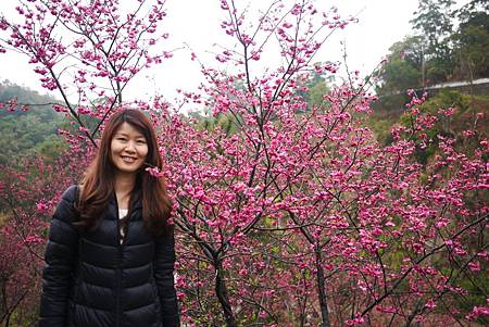 P1330388.JPG P1330388.JPG