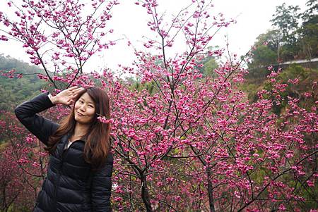 P1330389.JPG P1330389.JPG