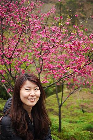 P1330391.JPG P1330391.JPG