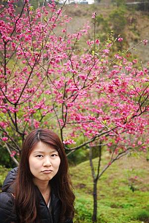 P1330395.JPG P1330395.JPG