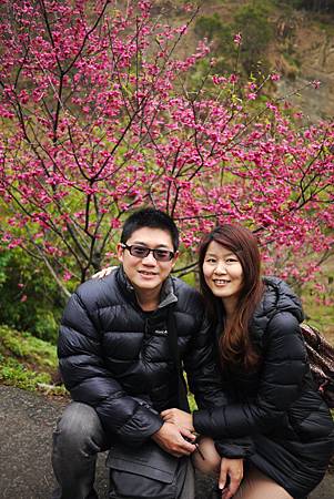 P1330397.JPG P1330397.JPG