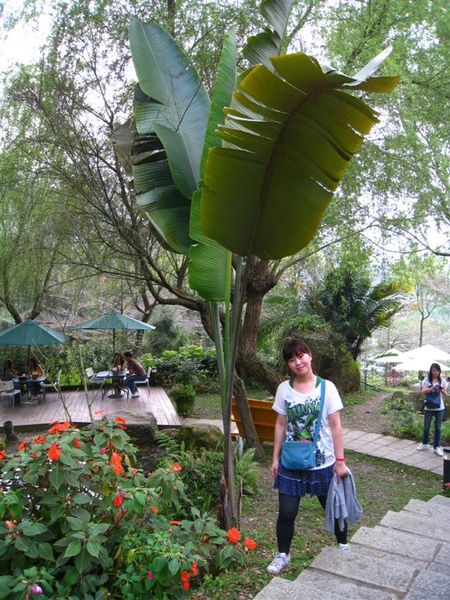 桃李河畔 049.jpg 桃李河畔 049.jpg