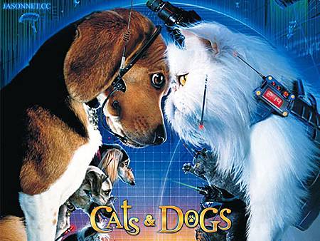 catsdogs catsdogs