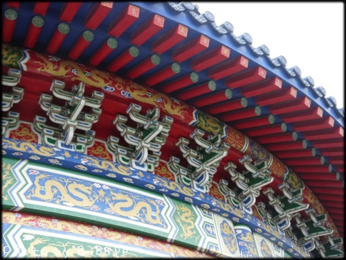 P1060259-2 P1060259-2