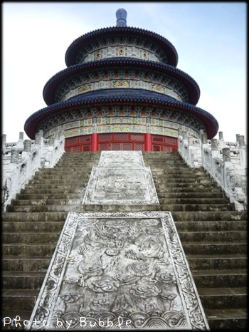 P1060267-2 P1060267-2