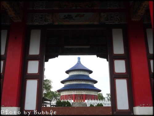 P1060273-2 P1060273-2