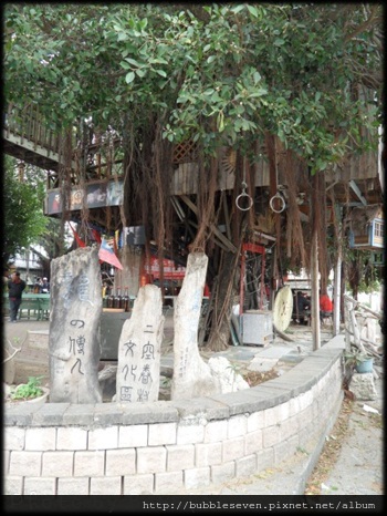 二空樹屋 二空樹屋