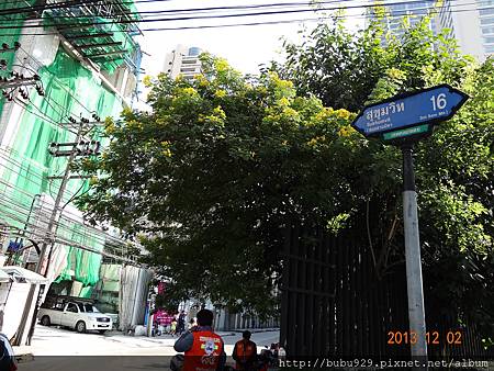 DSC06806.JPG DSC06806.JPG