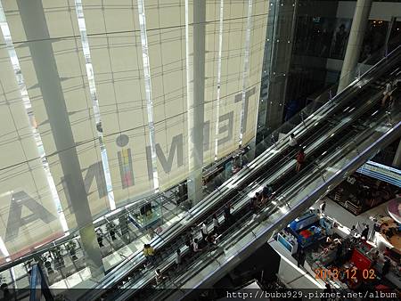 DSC06816.JPG DSC06816.JPG