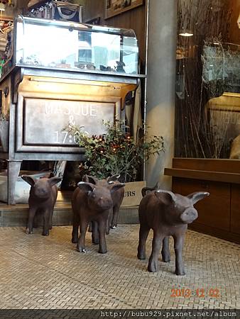 DSC06831.JPG DSC06831.JPG