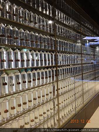 DSC06834.JPG DSC06834.JPG