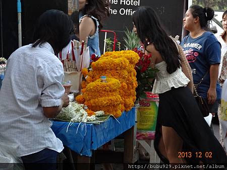 DSC06884.JPG DSC06884.JPG