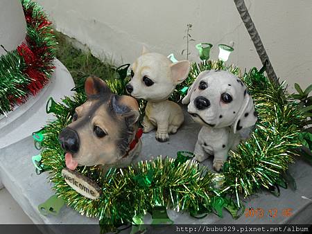 DSC07350.JPG DSC07350.JPG