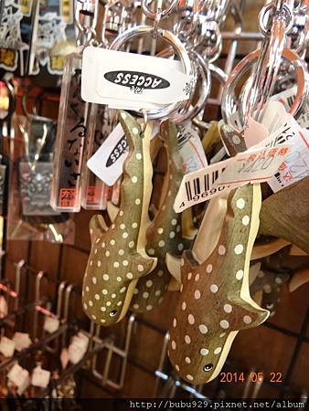 DSC09494.JPG DSC09494.JPG