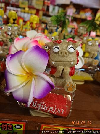 DSC09495.JPG DSC09495.JPG