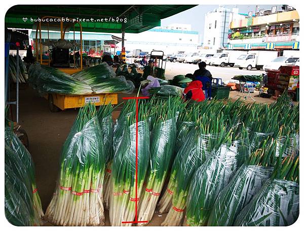 P1000378.jpg P1000378.jpg