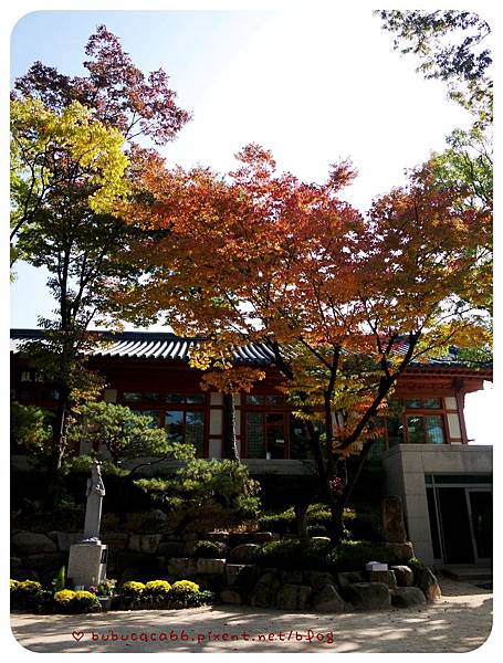 P1000140.jpg P1000140.jpg