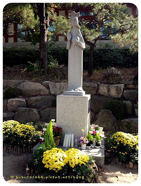 P1000142.jpg P1000142.jpg