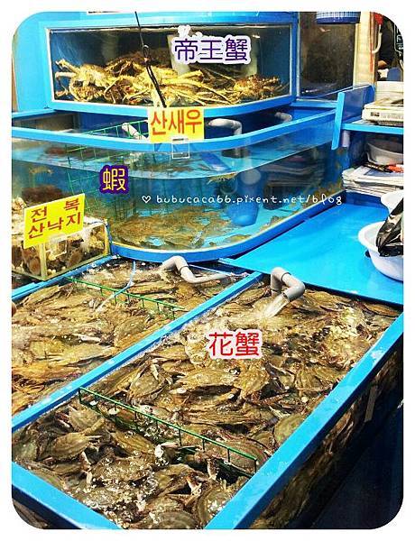 312808_278478625505838_100000311080926_933830_2063311645_n.jpg 312808_278478625505838_100000311080926_933830_2063311645_n.jpg