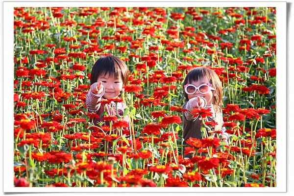 IMG_7667_resize.JPG IMG_7667_resize.JPG