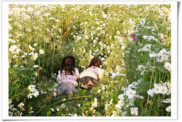 IMG_0088_resize_resize IMG_0088_resize_resize