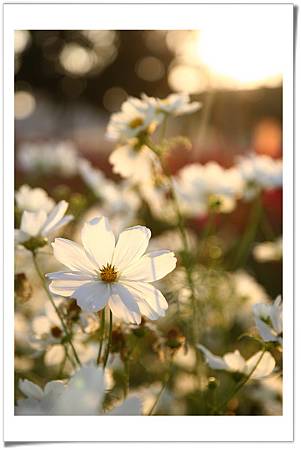 IMG_0107N_resize IMG_0107N_resize