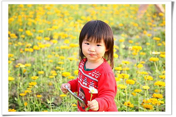 IMG_0463_resize IMG_0463_resize