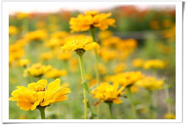 IMG_0492_resize IMG_0492_resize