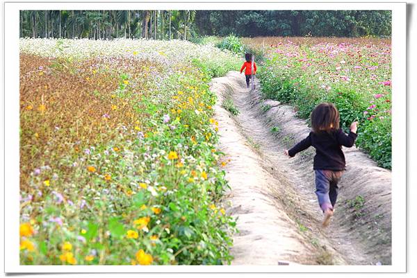 IMG_0618_resize IMG_0618_resize