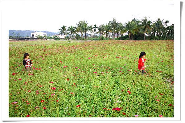 IMG_0634_resize IMG_0634_resize