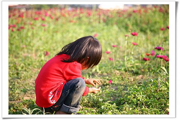 IMG_9201_resize_resize IMG_9201_resize_resize