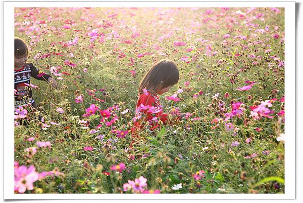 IMG_9337_resize_resize IMG_9337_resize_resize