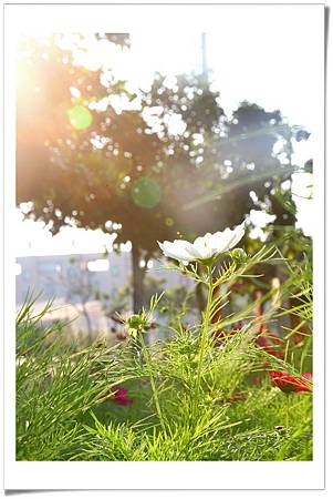 IMG_9473n_resize IMG_9473n_resize