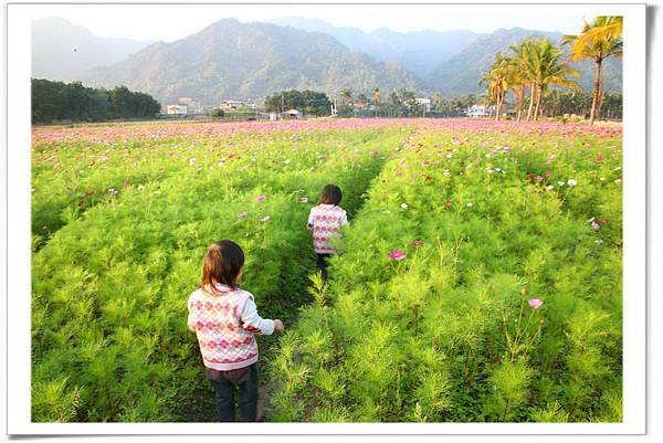 IMG_9755_resize IMG_9755_resize