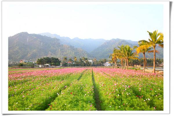 IMG_9792_resize IMG_9792_resize