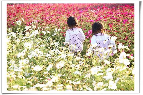 IMG_9934_resize_resize IMG_9934_resize_resize