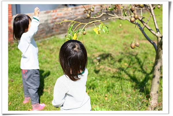 IMG_0256_resize_resize