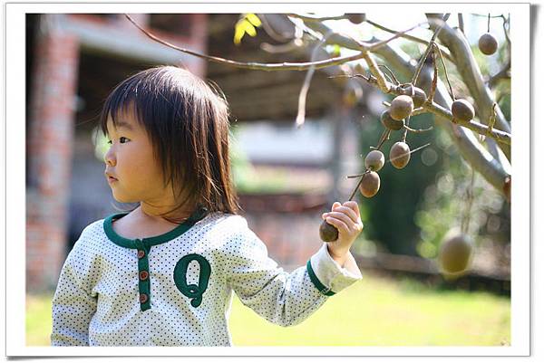 IMG_0270_resize_resize